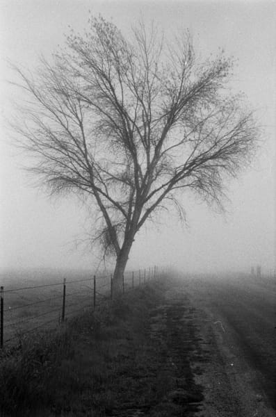 R020