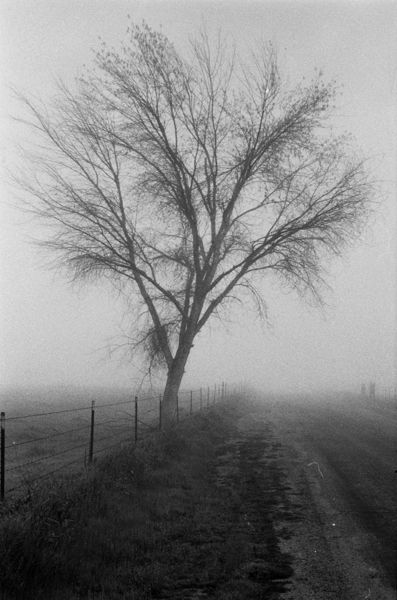 R020_Raw_0020