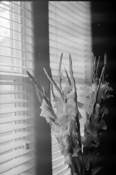 R025_0030