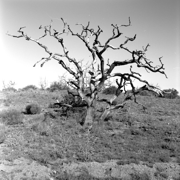 R051_0004